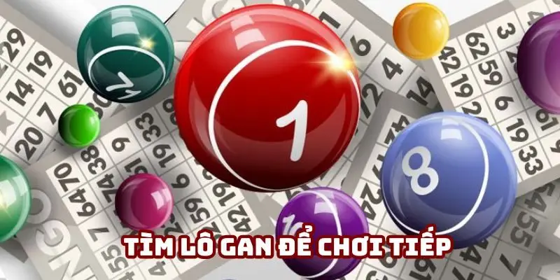 Cách chơi lô đề miền Bắc chọn lô gan