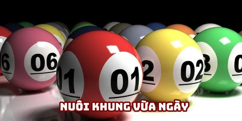 Thời gian cân nhắc nuôi đề vừa phải