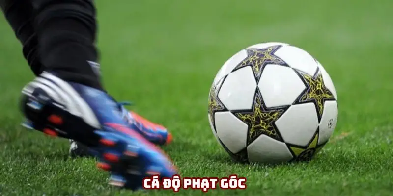 Cá độ phạt góc là gì? Tổng hợp mẹo hay ăn tiền nhà cái
