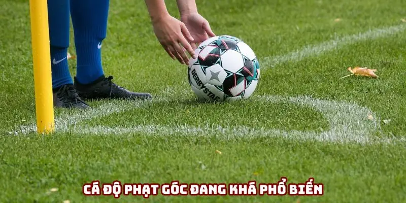 Cá độ phạt góc đang khá phổ biến