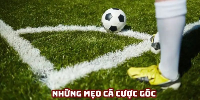 Tổng hợp những mẹo cá cược góc hay nhất