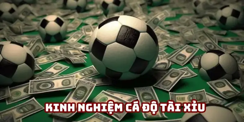 Bỏ túi các kinh nghiệm cá độ tài xỉu hiệu quả