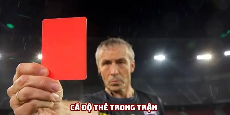 Cá độ thẻ trong trận - Bật mí phương pháp chơi hiệu quả
