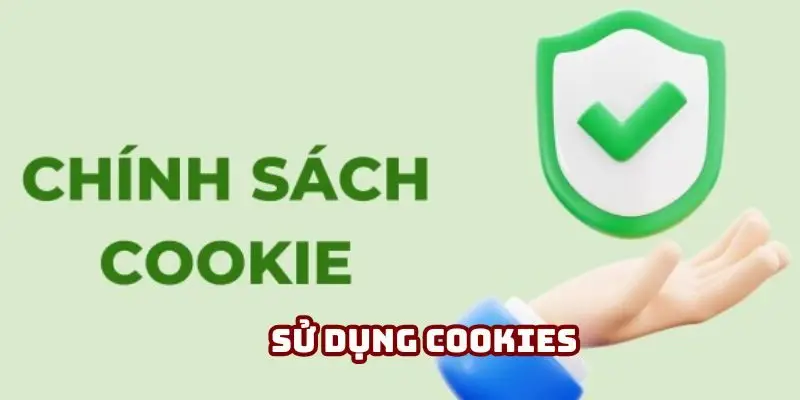 Bạn nên chấp nhận cookies để hưởng toàn bộ quyền lợi khi sử dụng