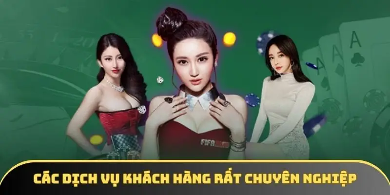 Các dịch vụ khách hàng rất chuyên nghiệp